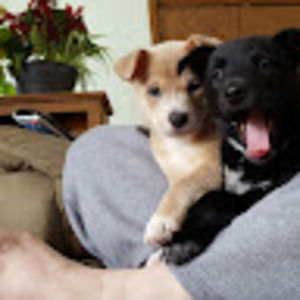 Meet your Posher, Jumbalaya